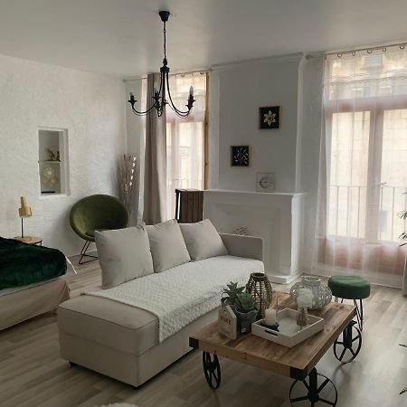 Le Green & Peace Centre Historique, En Face Du Musee Du Pilori, A 2Mn A Pied De L'Hyper Centre Et Proche Toutes Commodites, Wifi-Netflix Niort Eksteriør billede