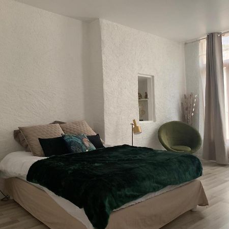 Le Green & Peace Centre Historique, En Face Du Musee Du Pilori, A 2Mn A Pied De L'Hyper Centre Et Proche Toutes Commodites, Wifi-Netflix Niort Eksteriør billede
