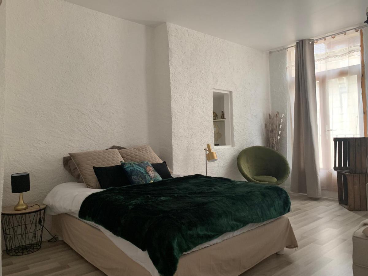 Le Green & Peace Centre Historique, En Face Du Musee Du Pilori, A 2Mn A Pied De L'Hyper Centre Et Proche Toutes Commodites, Wifi-Netflix Niort Eksteriør billede